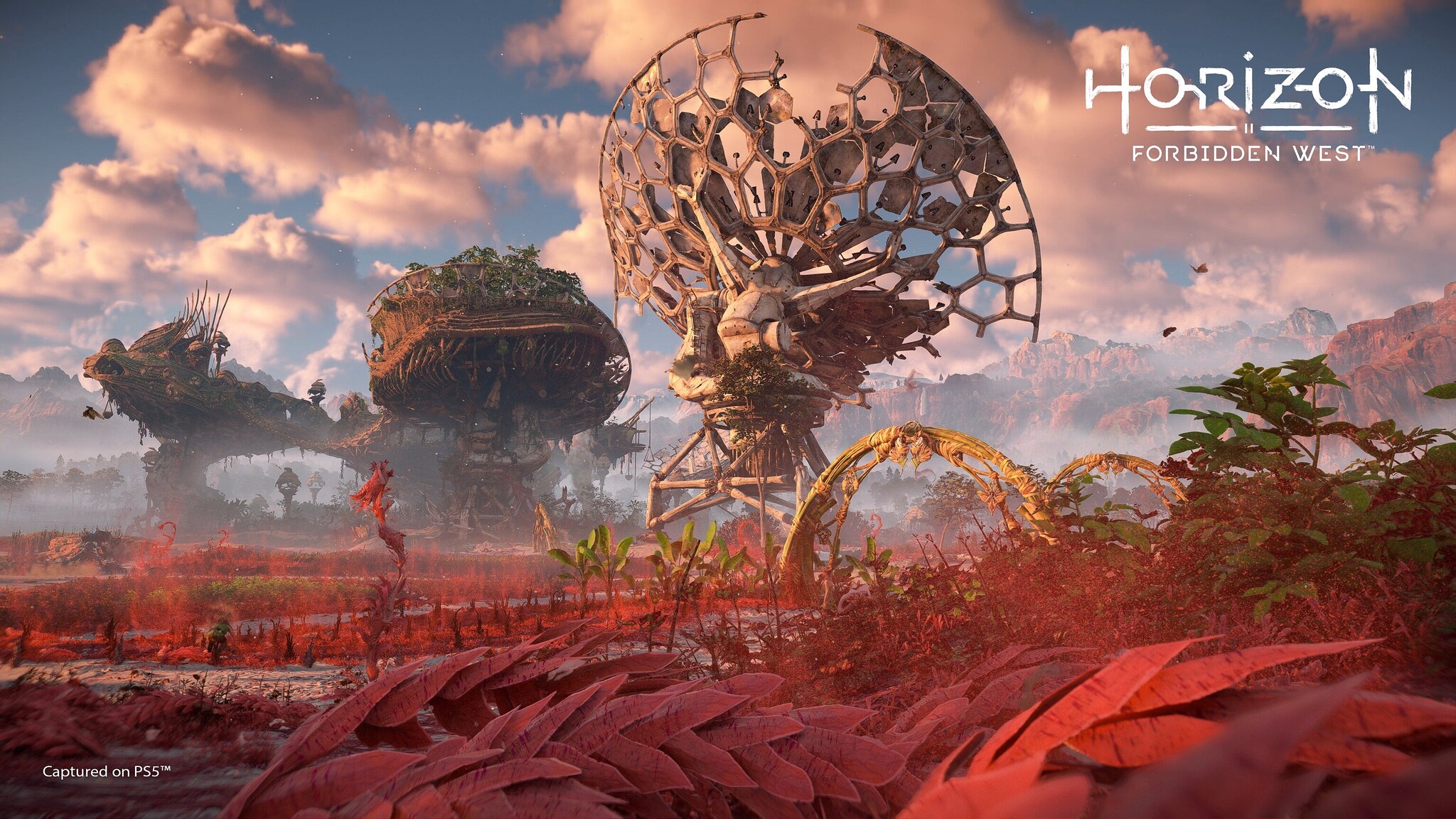 Trailer และ Screenshots ของ Horizon Forbidden West แสดงรายละเอียดของเผ่าใหม่และสภาพแวดล้อมตระการตา